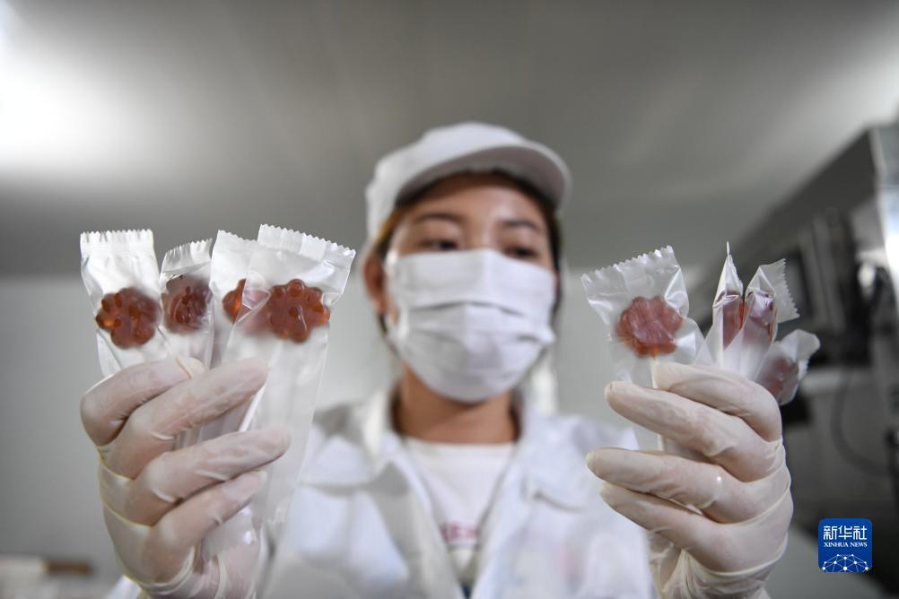 水果游戏机破解方法